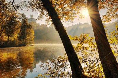 Autumn scenery of trakoscan castle on the hill by the lake in croatia, county hrvatsko zagorje 