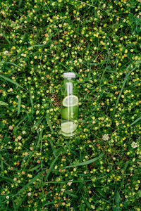 High angle view of glass bottle on plant