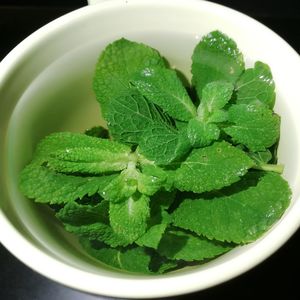 High angle view of green leaves in bowl