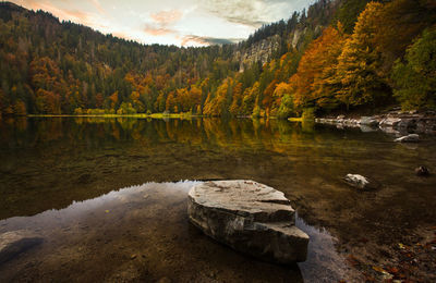 Scenic view of lake in forest during autumn