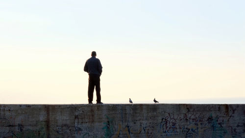 Silhouettes of man and pigeons standing on pier at sunset