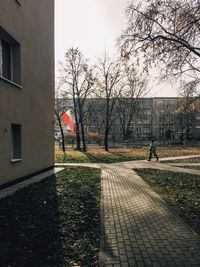 Trees against built structure