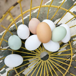 Close-up of food on table