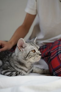 Midsection of woman holding cat