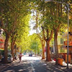 View of city street