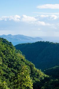 High angle view of trees and mountains against sky