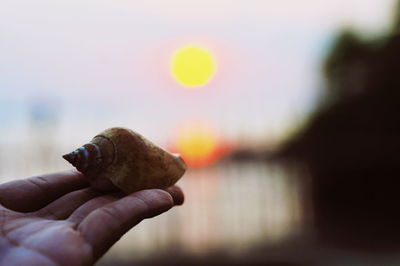 Close-up of a hand holding the sea