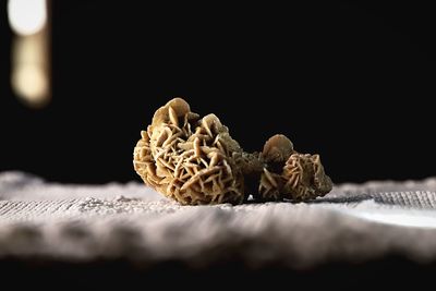 Close-up of mushroom on table