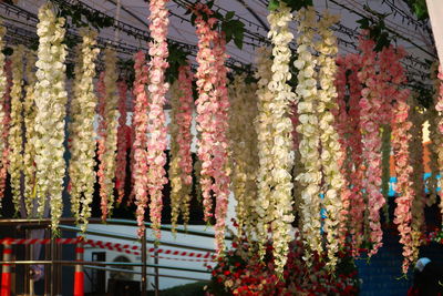 View of flowers hanging in market