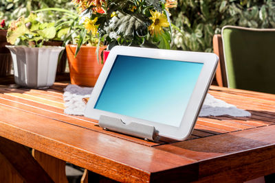 Close-up of potted plant on table