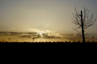 Silhouette bare trees on field against sky during sunset