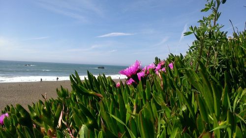 Scenic view of sea against clear sky