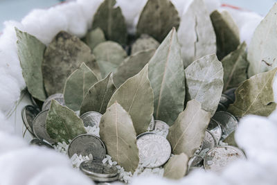 Close-up of pebbles