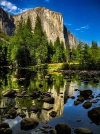 Scenic view of lake by trees against sky