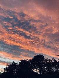 Low angle view of silhouette trees against dramatic sky