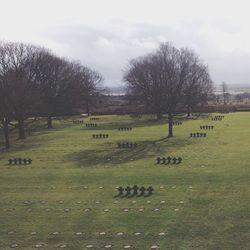 Scenic view of grassy field against sky