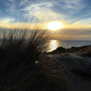 Close-up of sea against sunset sky