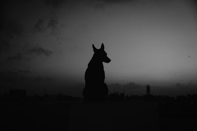 Silhouette dog on field against sky during night