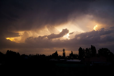 Silhouette trees against dramatic sky during sunset
