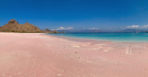 Scenic view of pink beach against blue sky on komodo island 