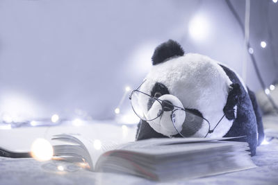 Close-up of panda toy with eyeglasses and book on bed