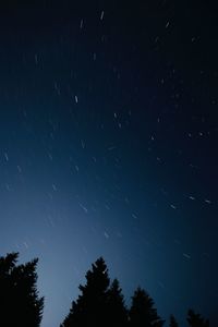 Low angle view of silhouette trees against star field at night