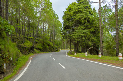 Road amidst trees in city