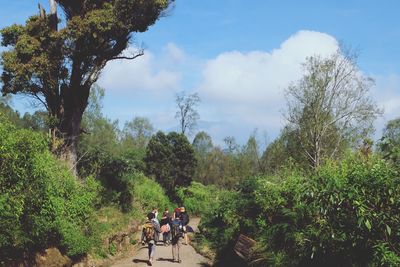 People riding motorcycle on landscape against sky