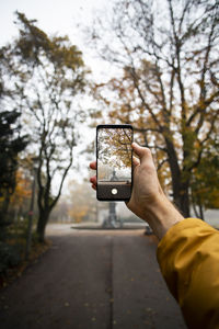 Human hand holding smart phone in autumn in a park