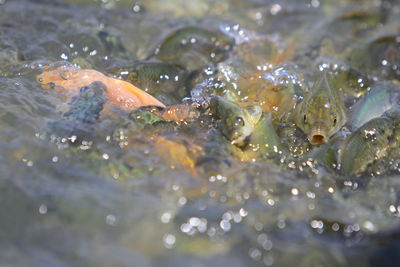 Full frame shot of water