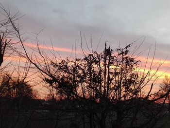 Silhouette bare trees against sky during sunset