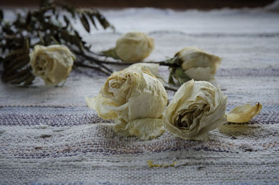 Wilted rose flowers on textile