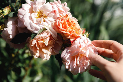 Close-up of hand holding flower