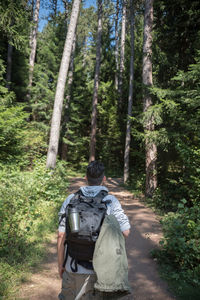 Rear view of man in forest