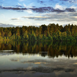 Scenic view of lake in forest against sky