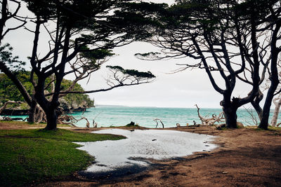 Scenic view of sea against clear sky