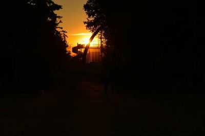 Silhouette of trees at sunset