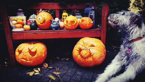 High angle view of pumpkins in market