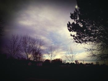 Silhouette of trees on field against sky at sunset