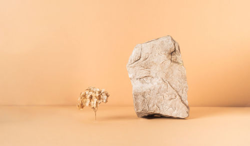 Creative stone podium with dry flower for cosmetics or products on a beige background. 
