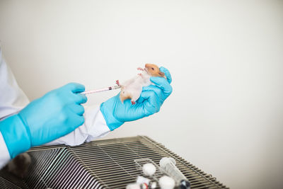 Cropped image of veterinarian injecting rat