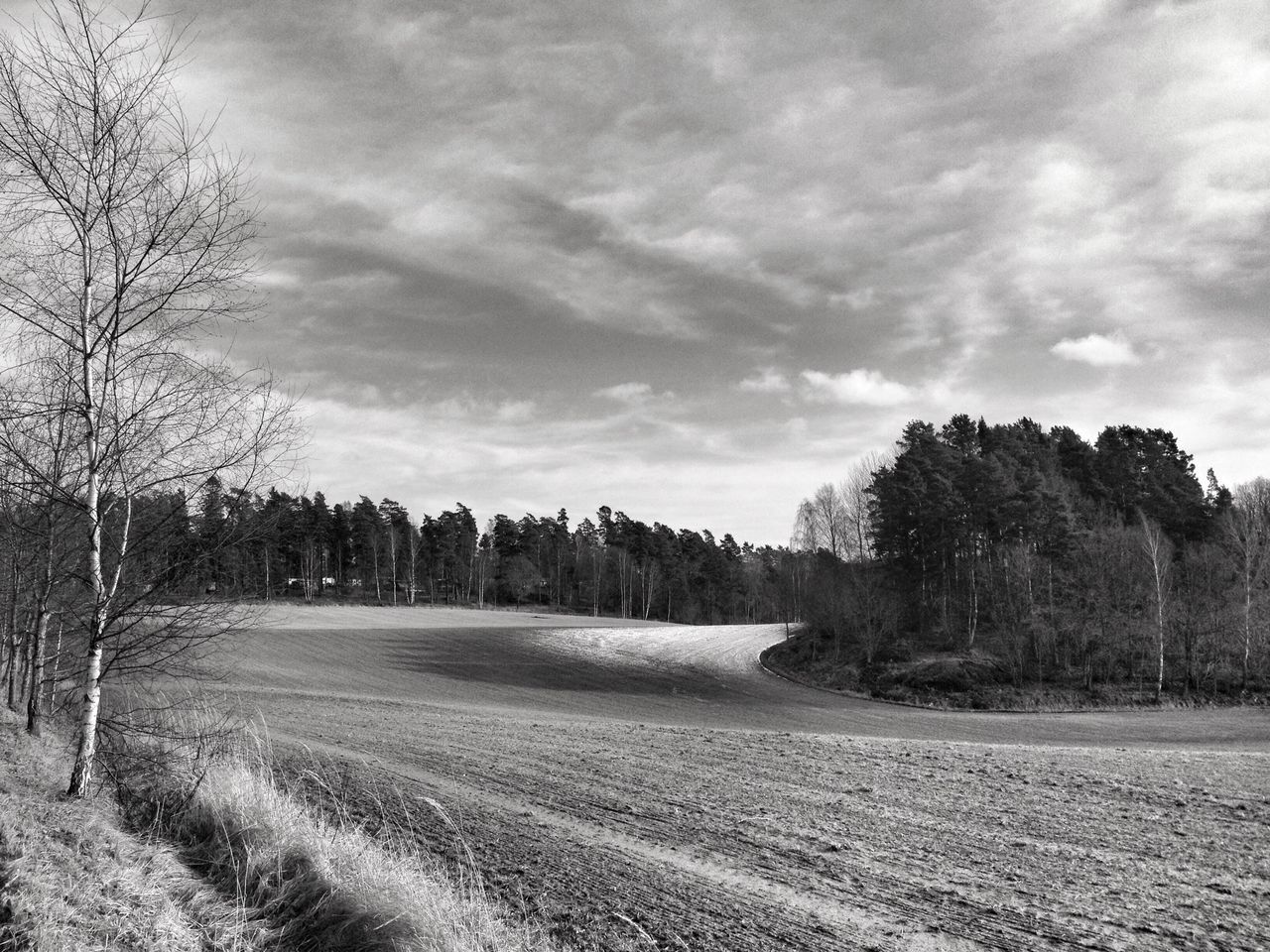 tree, sky, landscape, cloud - sky, tranquility, tranquil scene, field, road, nature, the way forward, cloudy, cloud, scenics, bare tree, beauty in nature, day, growth, outdoors, non-urban scene, no people