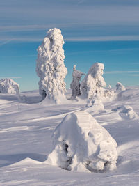 Snow covered land against sky