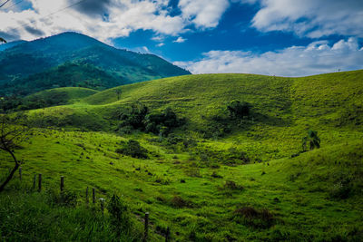 Scenic view of green landscape against sky