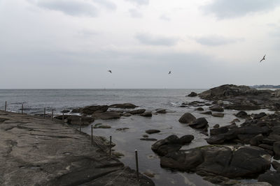 Scenic view of sea against sky