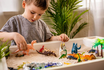 Cute boy playing with toys