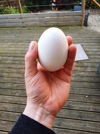 Close-up of hand holding eggs