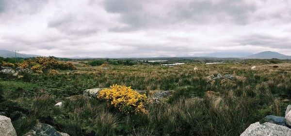 Scenic view of field against cloudy sky