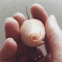 Close-up of person holding hands