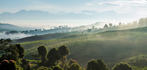 Scenic view of landscape against sky